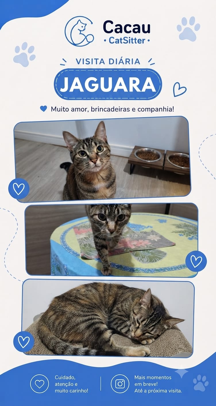 Companhia o dia todo